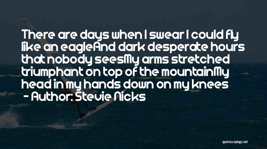 On Top Of Mountain Quotes By Stevie Nicks