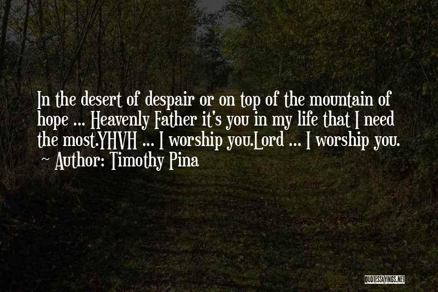 On Top Of Mountain Quotes By Timothy Pina