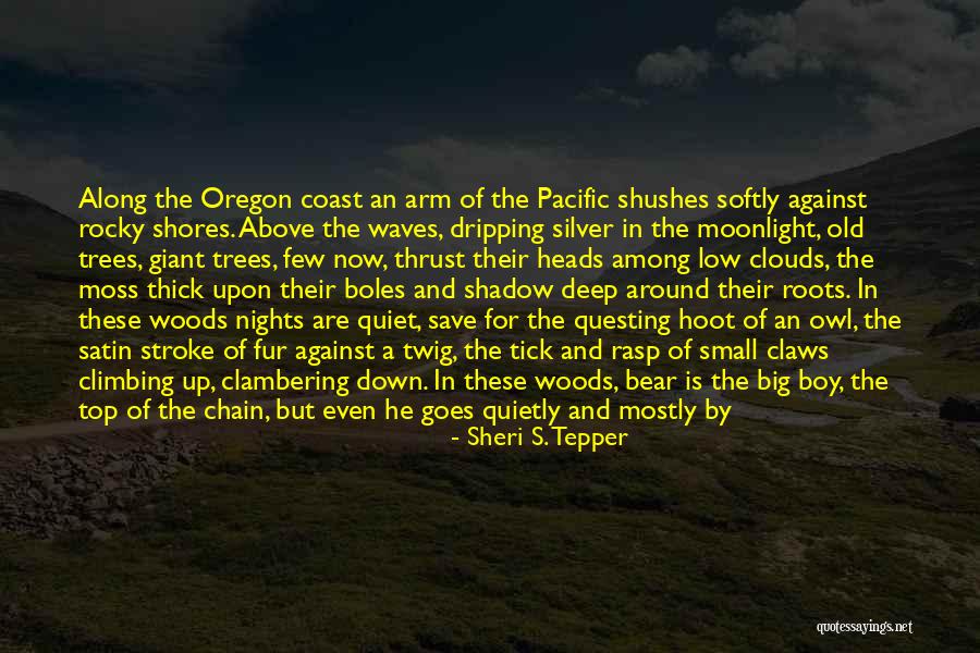 On Top Of The Clouds Quotes By Sheri S. Tepper On Top Of The Clouds Quotes By Sheri S. Tepper