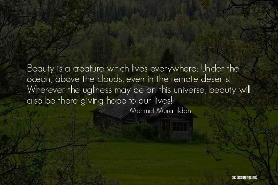 On Ugliness Quotes By Mehmet Murat Ildan