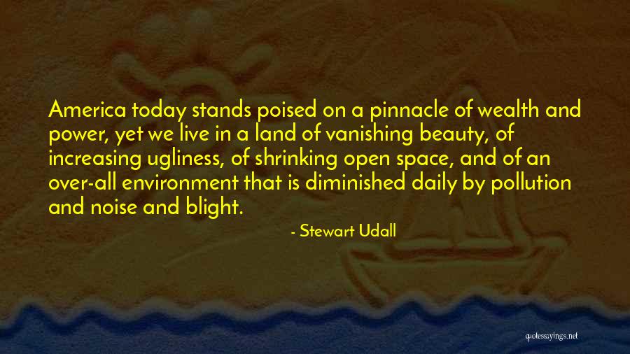 On Ugliness Quotes By Stewart Udall