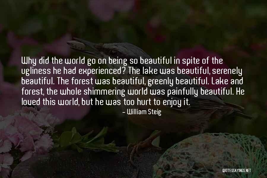 On Ugliness Quotes By William Steig