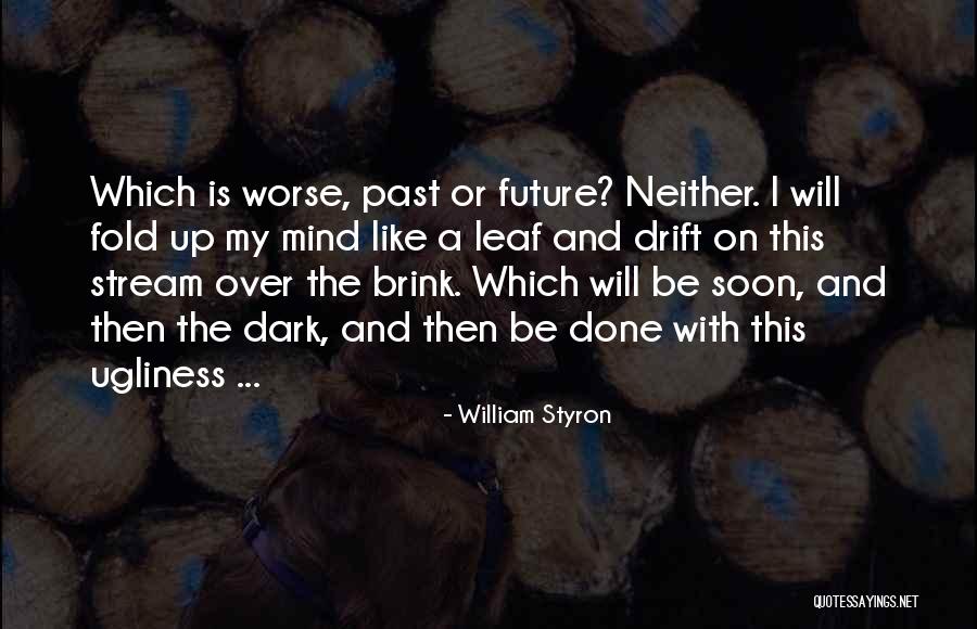 On Ugliness Quotes By William Styron