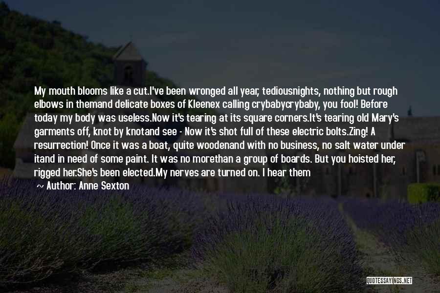 Once A Fool Quotes By Anne Sexton