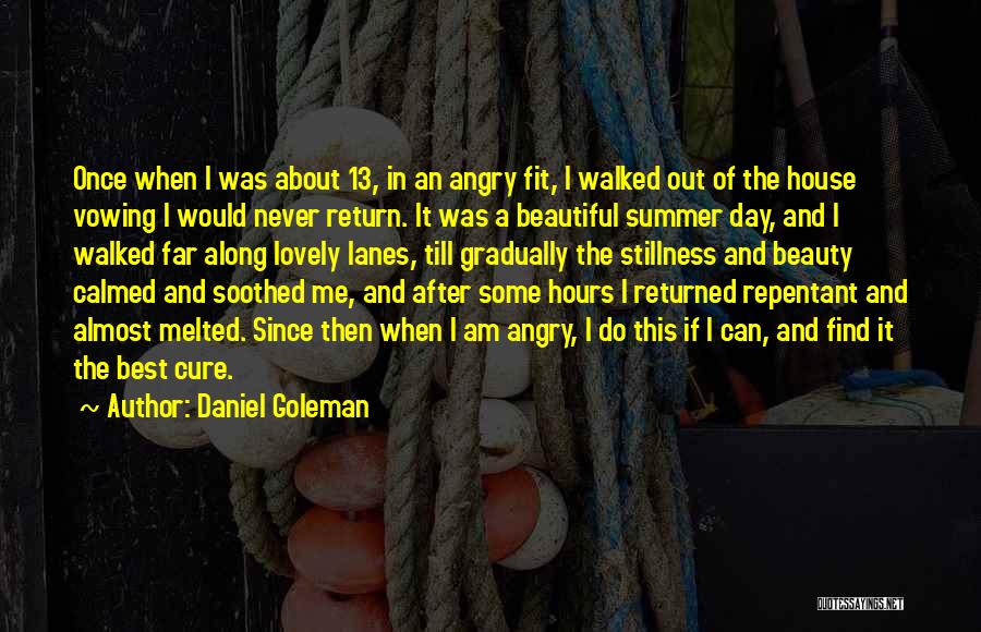 Once And Then Quotes By Daniel Goleman