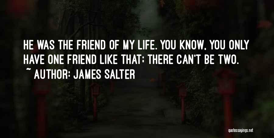 Once In A Lifetime Friend Quotes By James Salter