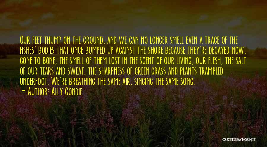 Once They're Gone Quotes By Ally Condie