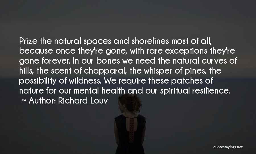Once They're Gone Quotes By Richard Louv