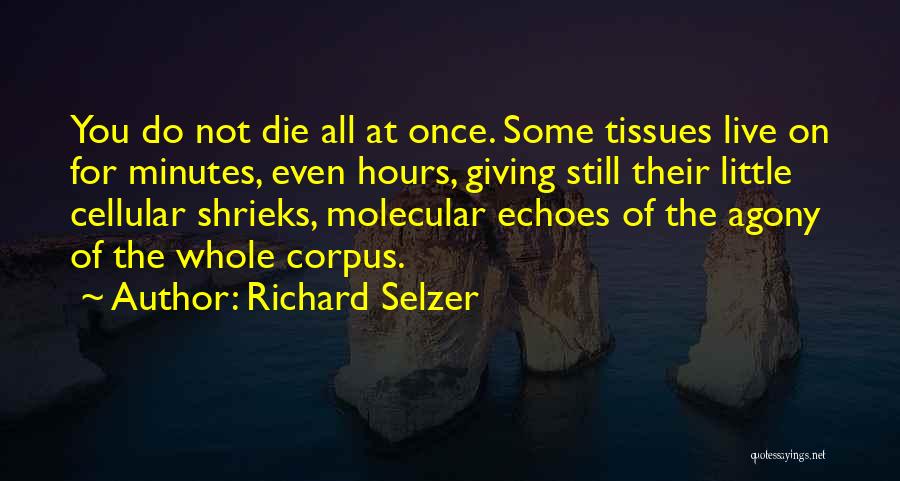 Once You Die Quotes By Richard Selzer