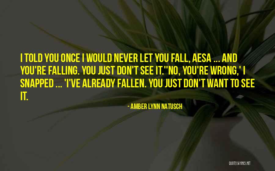 Once You Fall Quotes By Amber Lynn Natusch