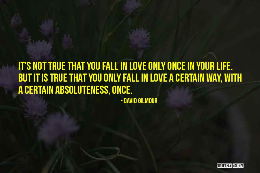 Once You Fall Quotes By David Gilmour