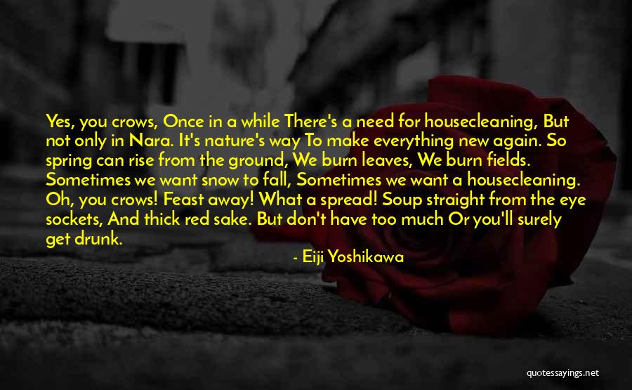 Once You Fall Quotes By Eiji Yoshikawa