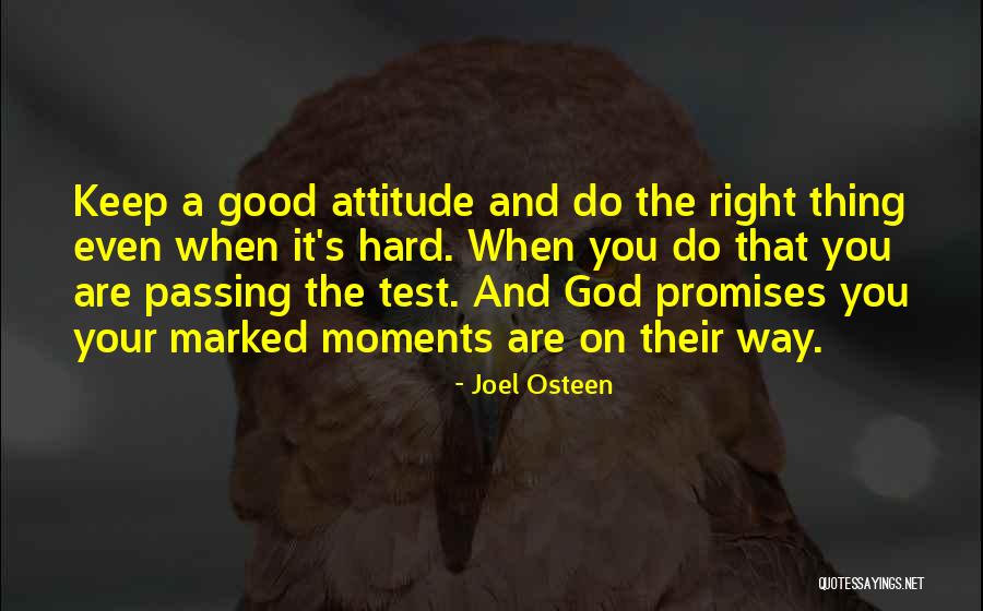Onceinalifetimefarm Quotes By Joel Osteen Onceinalifetimefarm Quotes By Joel Osteen