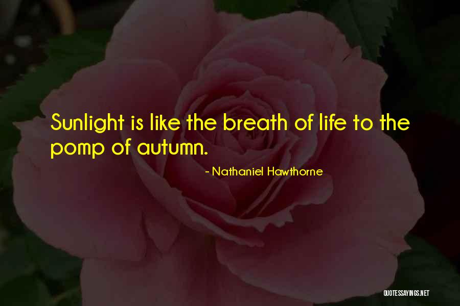 Oncken Quotes By Nathaniel Hawthorne Oncken Quotes By Nathaniel Hawthorne