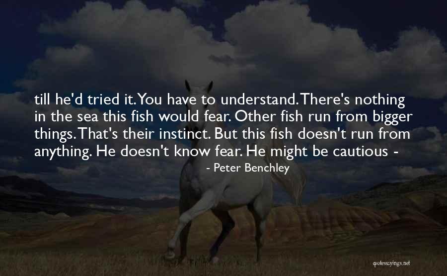 Ondina Maldonado Quotes By Peter Benchley Ondina Maldonado Quotes By Peter Benchley