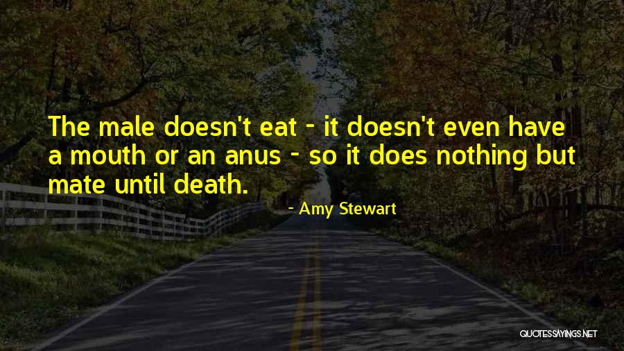 Ondt I Ryggen Quotes By Amy Stewart Ondt I Ryggen Quotes By Amy Stewart