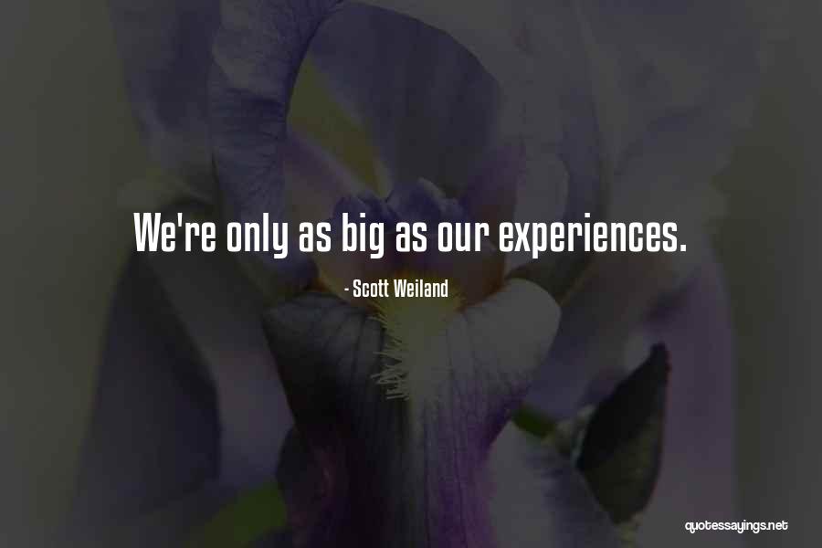 Ondulateur Quotes By Scott Weiland Ondulateur Quotes By Scott Weiland