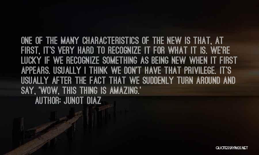 One Amazing Thing Quotes By Junot Diaz