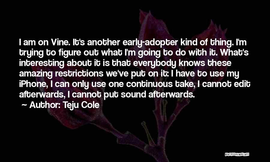 One Amazing Thing Quotes By Teju Cole