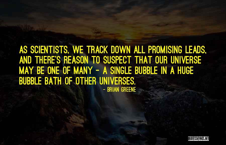 One And Many Quotes By Brian Greene