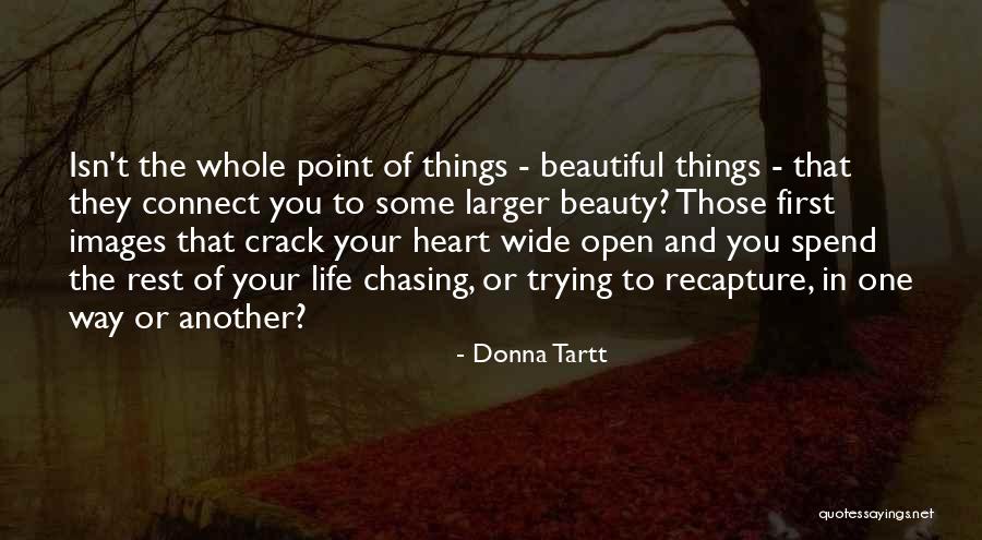 One Beautiful Heart Quotes By Donna Tartt One Beautiful Heart Quotes By Donna Tartt