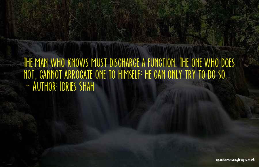 One Can Only Try Quotes By Idries Shah