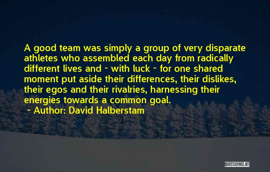 One Common Goal Quotes By David Halberstam