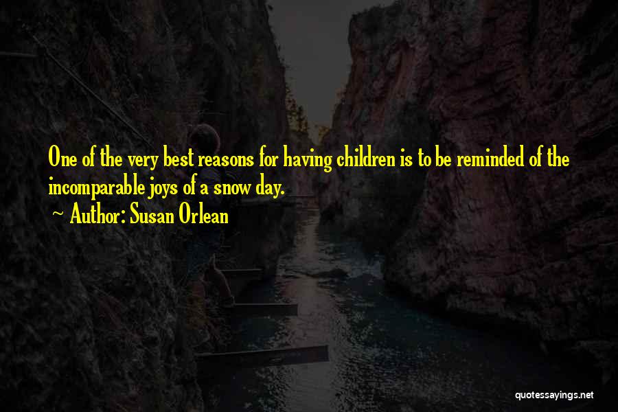 One Day Best Quotes By Susan Orlean