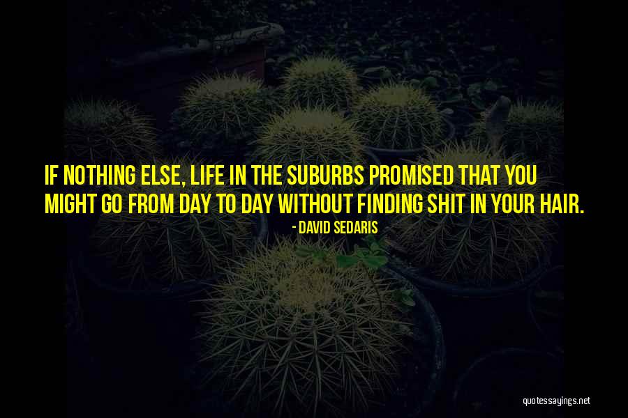 One Day Finding Someone Quotes By David Sedaris One Day Finding Someone Quotes By David Sedaris