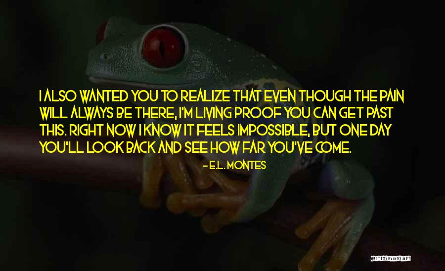One Day I Will Come Back Quotes By E.L. Montes