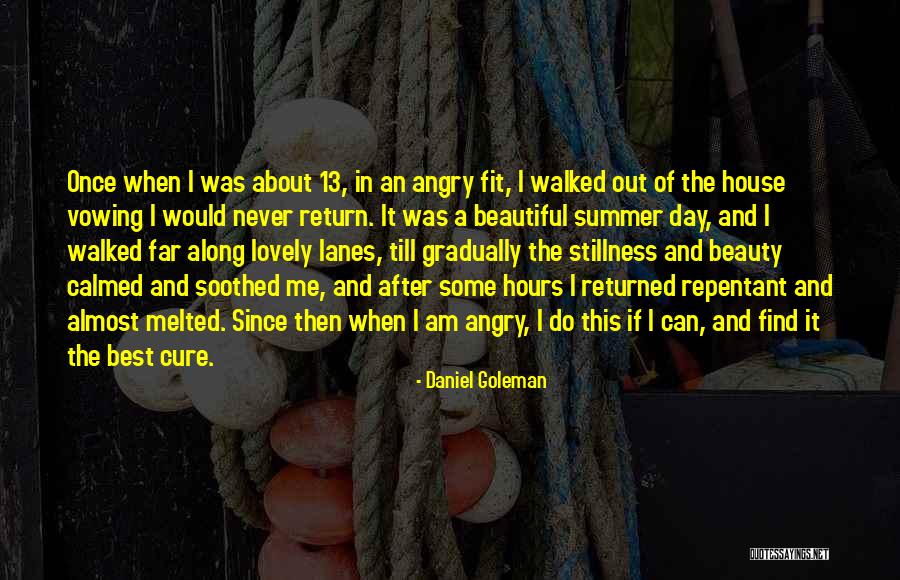 One Day Someone Will Come Along Quotes By Daniel Goleman One Day Someone Will Come Along Quotes By Daniel Goleman