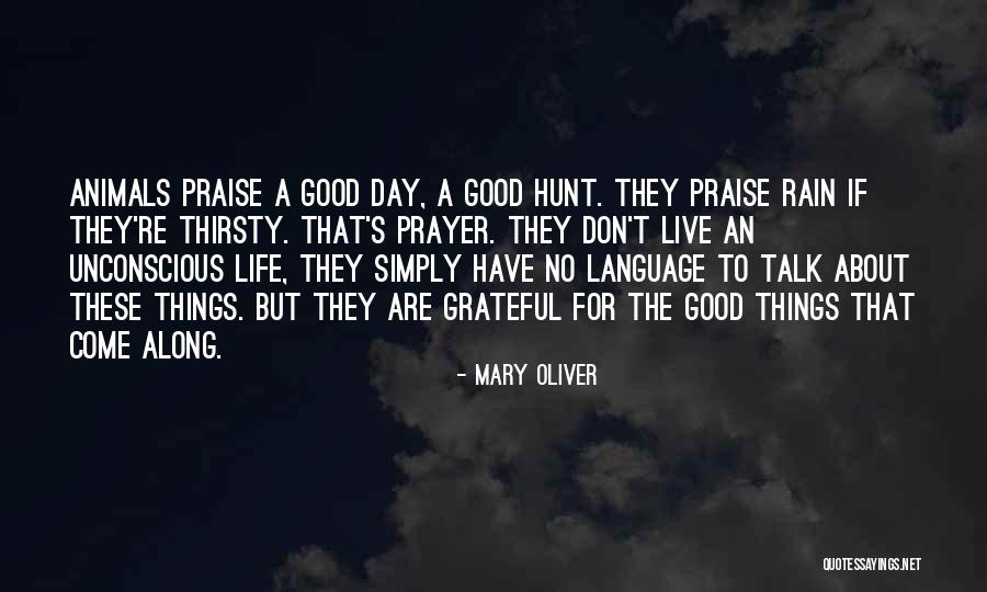 One Day Someone Will Come Along Quotes By Mary Oliver One Day Someone Will Come Along Quotes By Mary Oliver