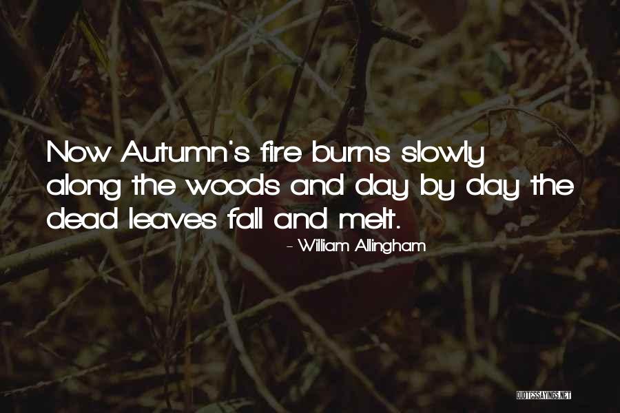 One Day Someone Will Come Along Quotes By William Allingham One Day Someone Will Come Along Quotes By William Allingham