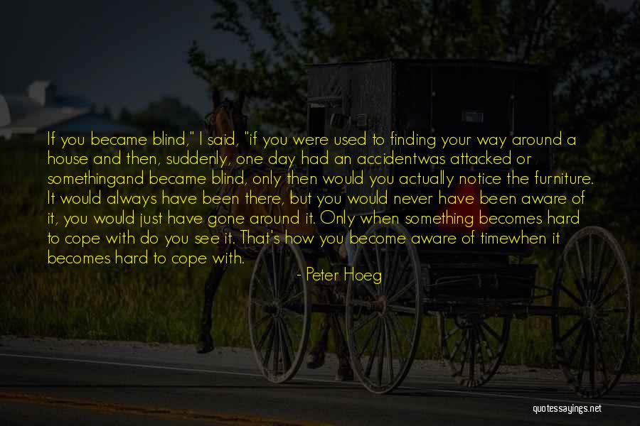 One Day When I'm Gone Quotes By Peter Hoeg