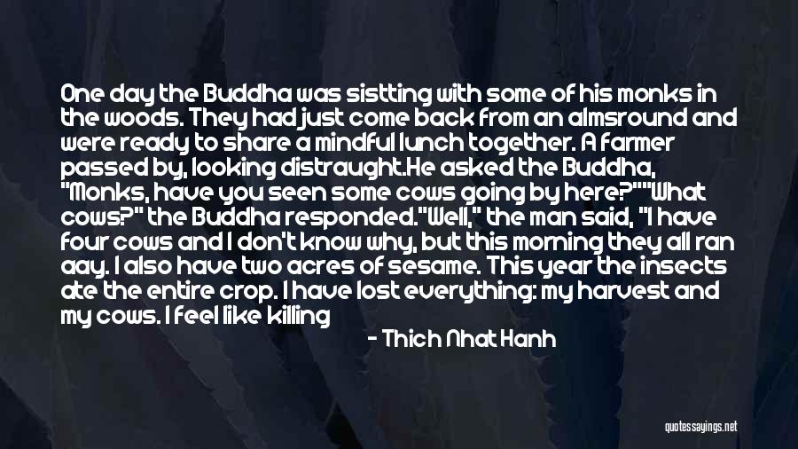 One Day When I'm Gone Quotes By Thich Nhat Hanh