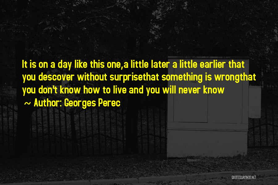 One Day Without You Quotes By Georges Perec