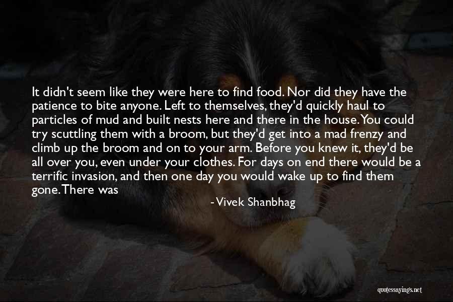 One Day You Wake Up Quotes By Vivek Shanbhag