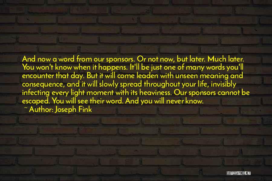 One Day You Will See Quotes By Joseph Fink