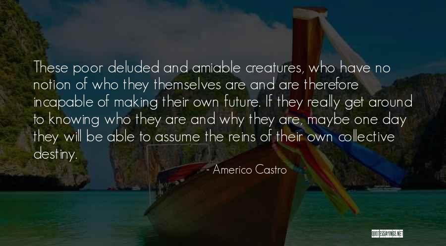 One Destiny Quotes By Americo Castro