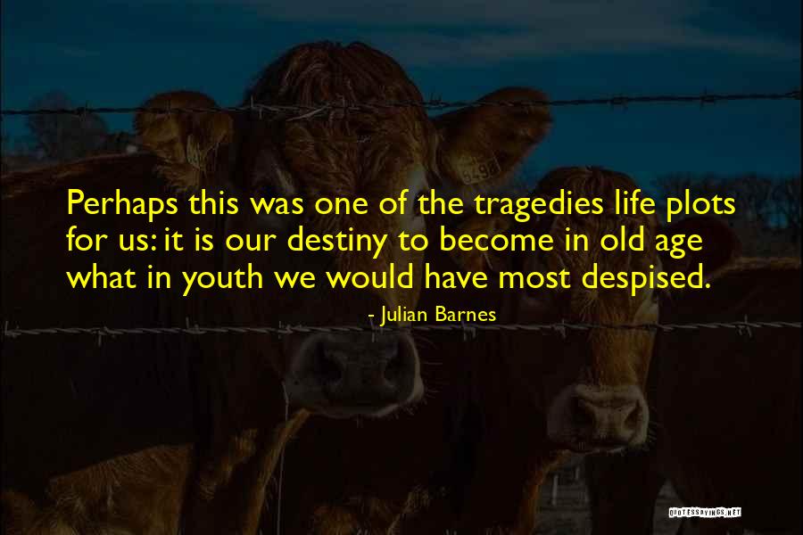 One Destiny Quotes By Julian Barnes