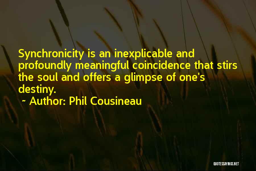 One Destiny Quotes By Phil Cousineau