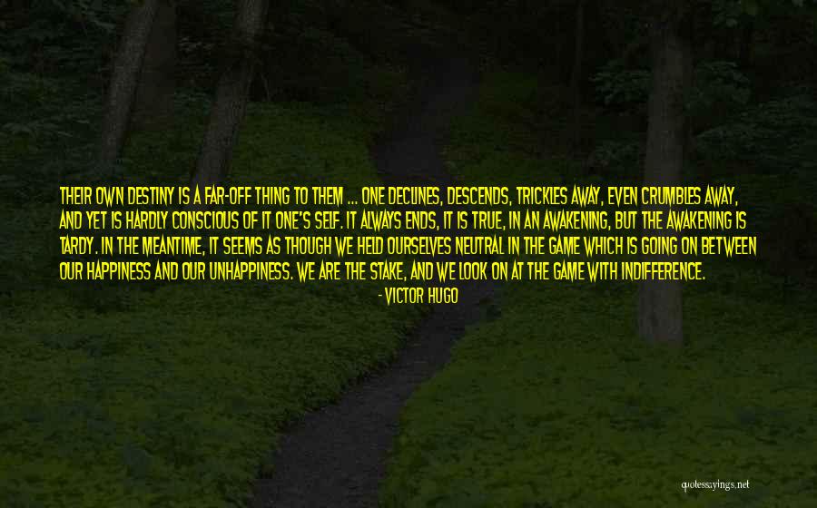 One Destiny Quotes By Victor Hugo