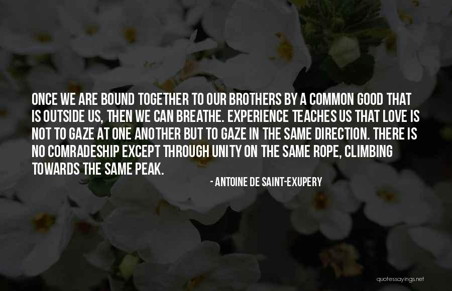 One Direction Love Quotes By Antoine De Saint-Exupery