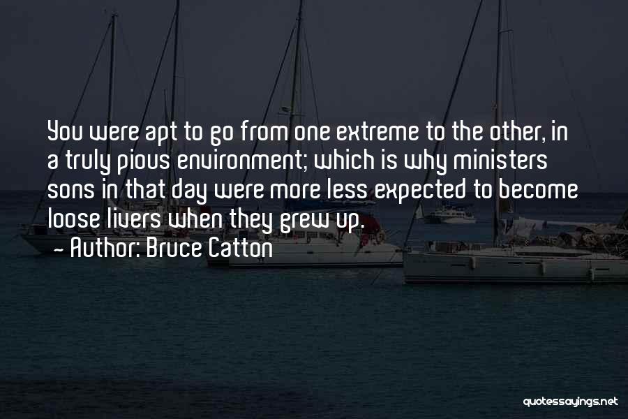 One Extreme To The Other Quotes By Bruce Catton