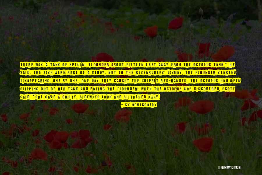 One Fifteen Quotes By Sy Montgomery One Fifteen Quotes By Sy Montgomery