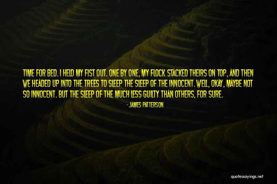 One Flock Quotes By James Patterson One Flock Quotes By James Patterson