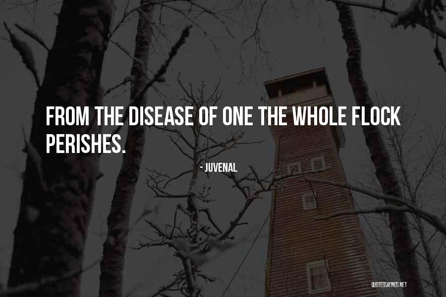 One Flock Quotes By Juvenal One Flock Quotes By Juvenal