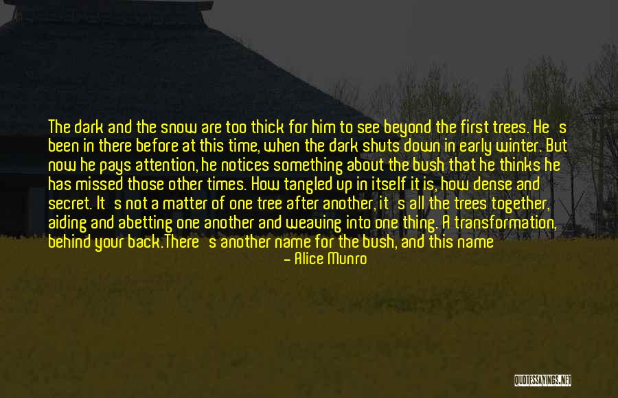 One Grasp Quotes By Alice Munro One Grasp Quotes By Alice Munro