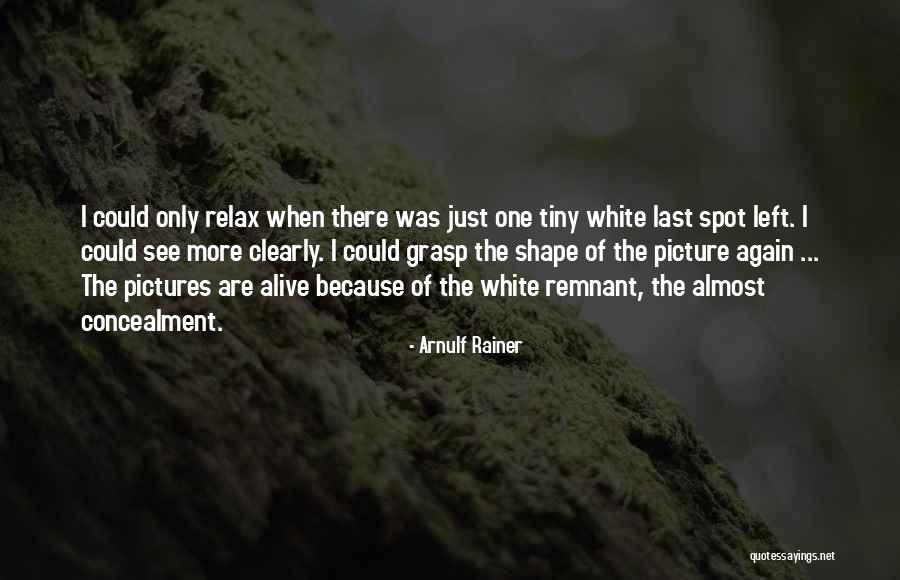 One Grasp Quotes By Arnulf Rainer One Grasp Quotes By Arnulf Rainer