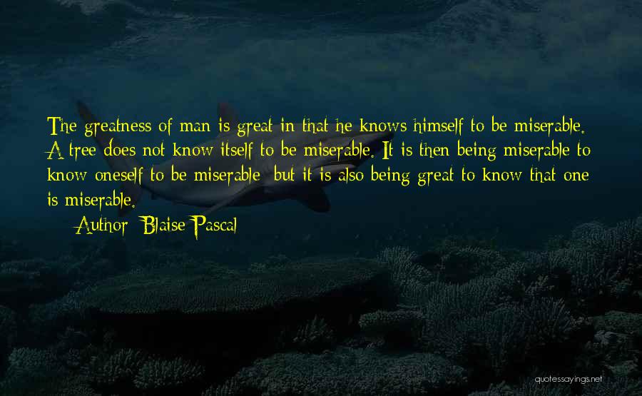One Great Man Quotes By Blaise Pascal